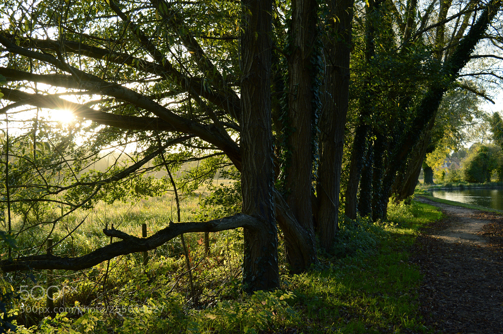Nikon D3200 sample photo. Farm sunset 4 photography