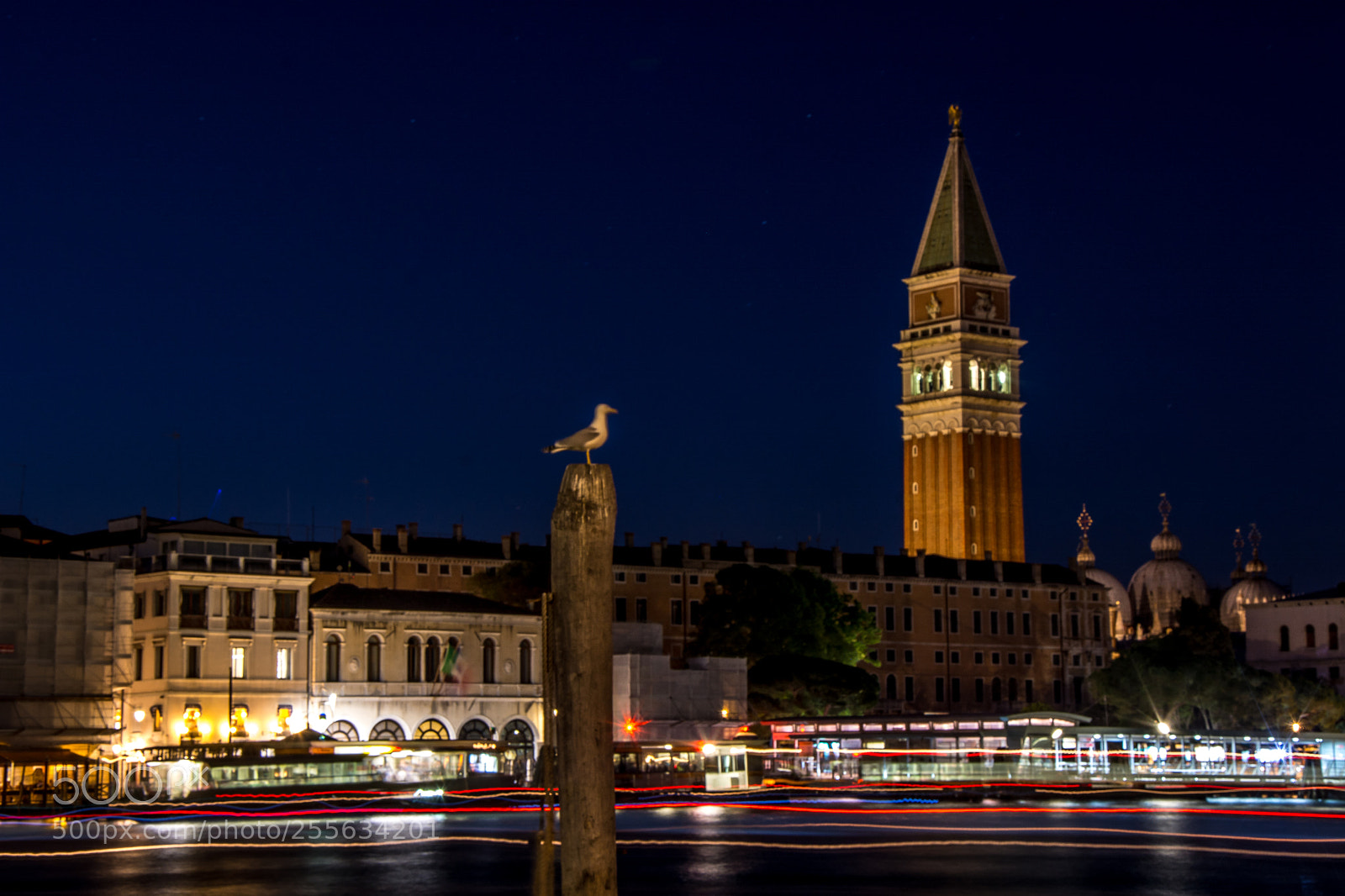 Nikon D7100 sample photo. Venice photography