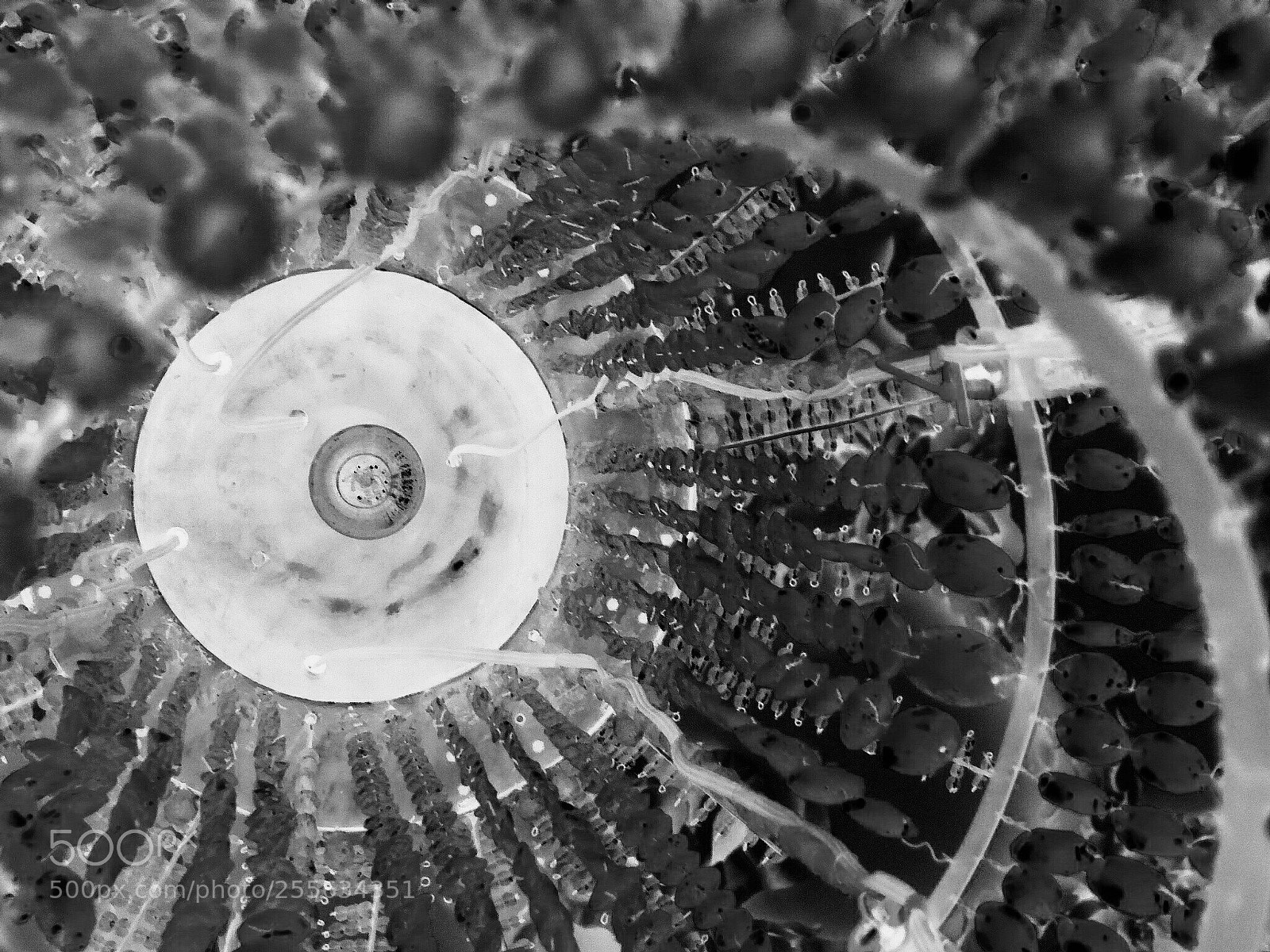 Panasonic DMC-TZ61 sample photo. Chandelier photography