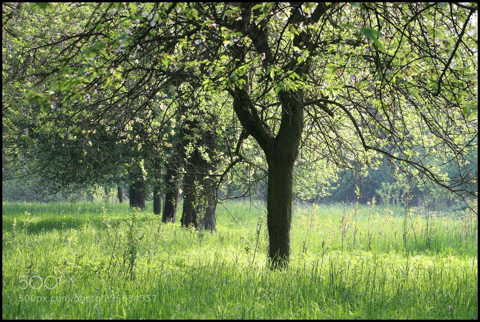 Canon EOS 70D sample photo. Around the corner photography