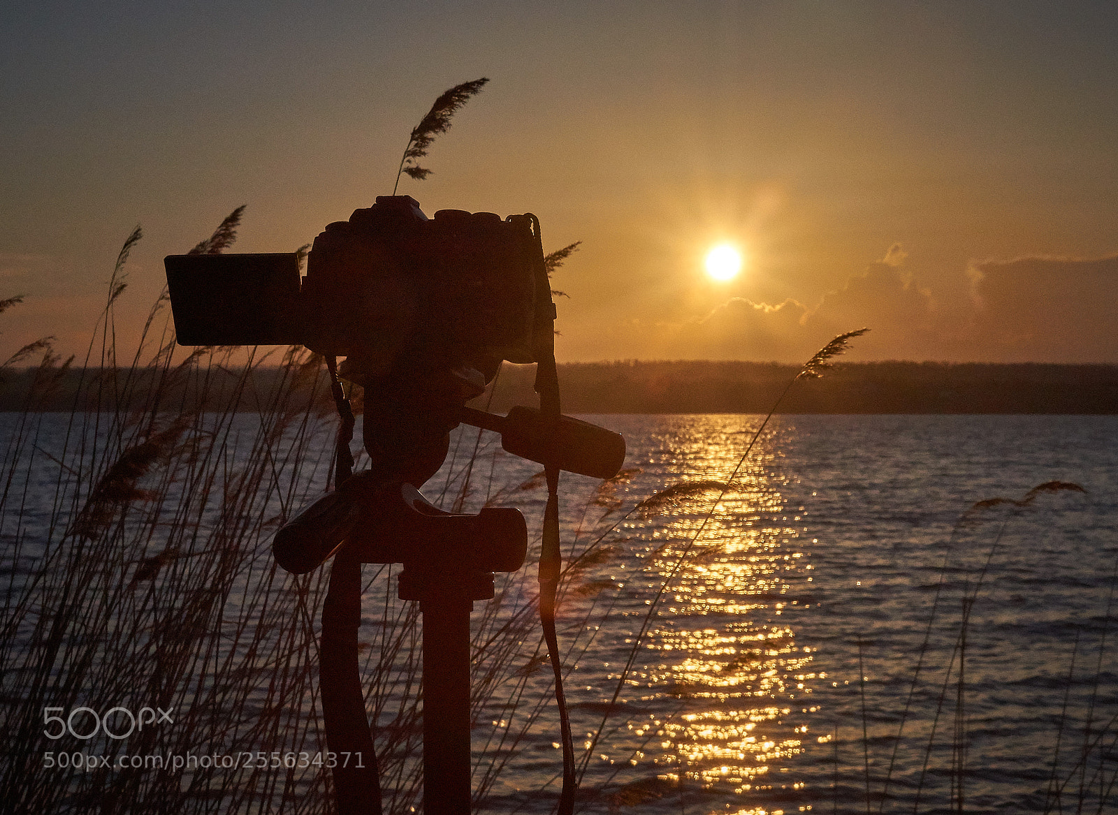 Sony SLT-A37 sample photo. Observation of the sun. photography