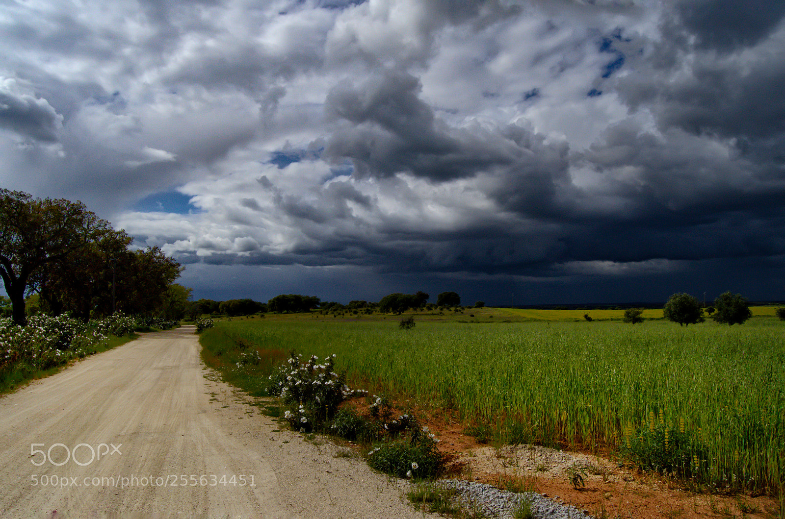 Nikon D7000 sample photo. Untitled photography