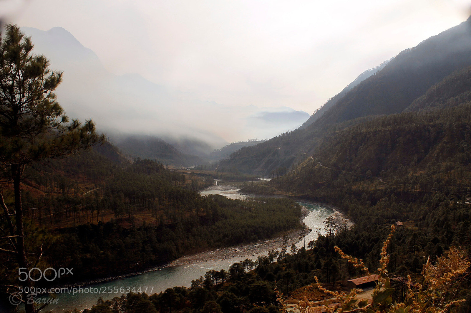 Canon EOS 1100D (EOS Rebel T3 / EOS Kiss X50) sample photo. River lohit photography
