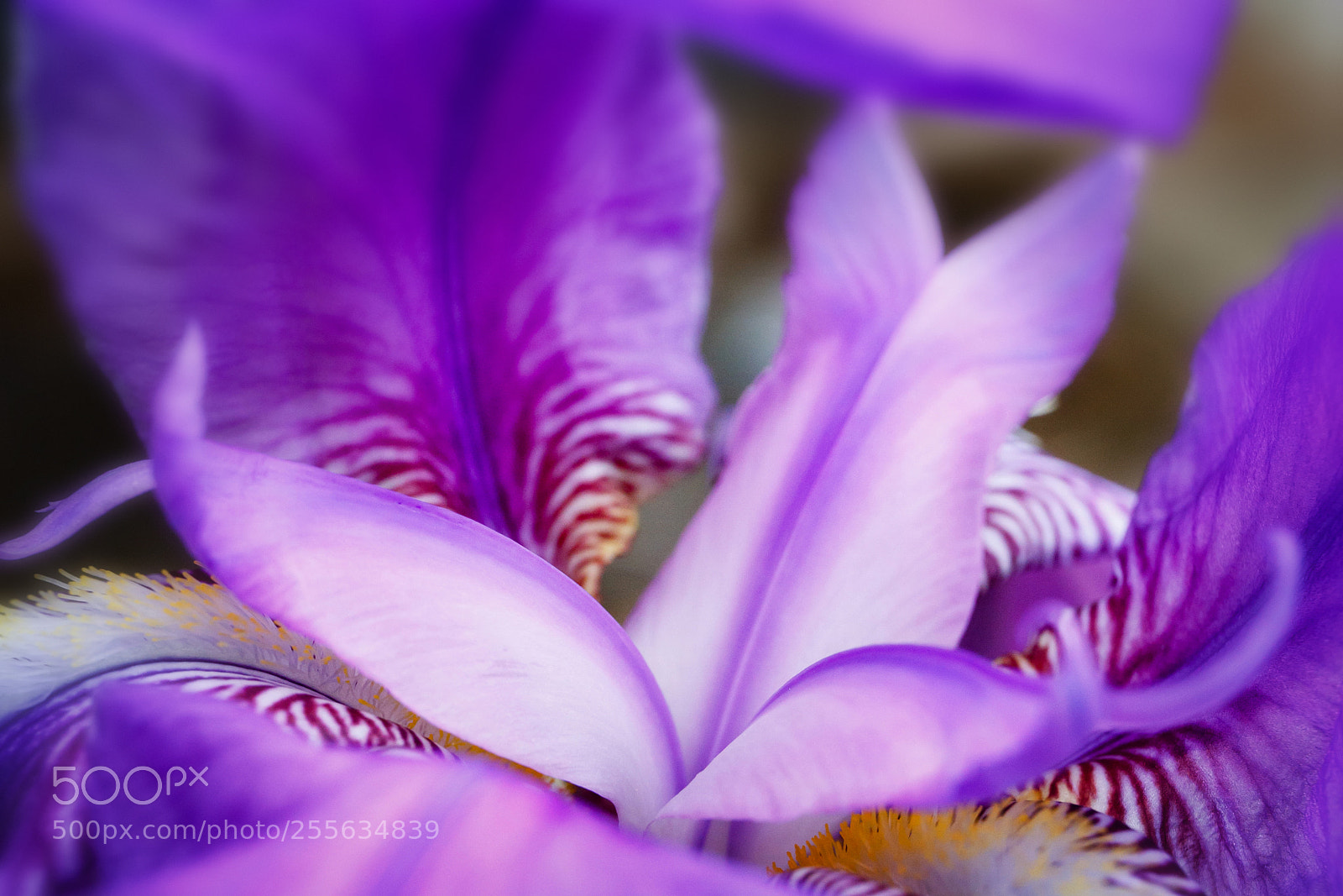 Canon EOS 6D sample photo. Looking inside photography