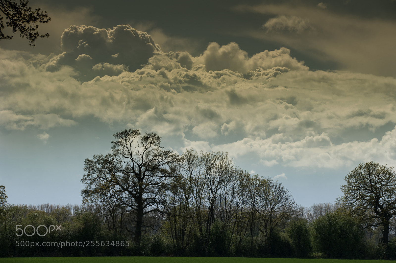 Nikon D5500 sample photo. Dicke wolken photography