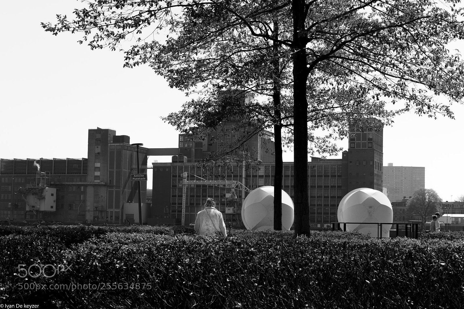 Sony a7 II sample photo. Rotterdam photography