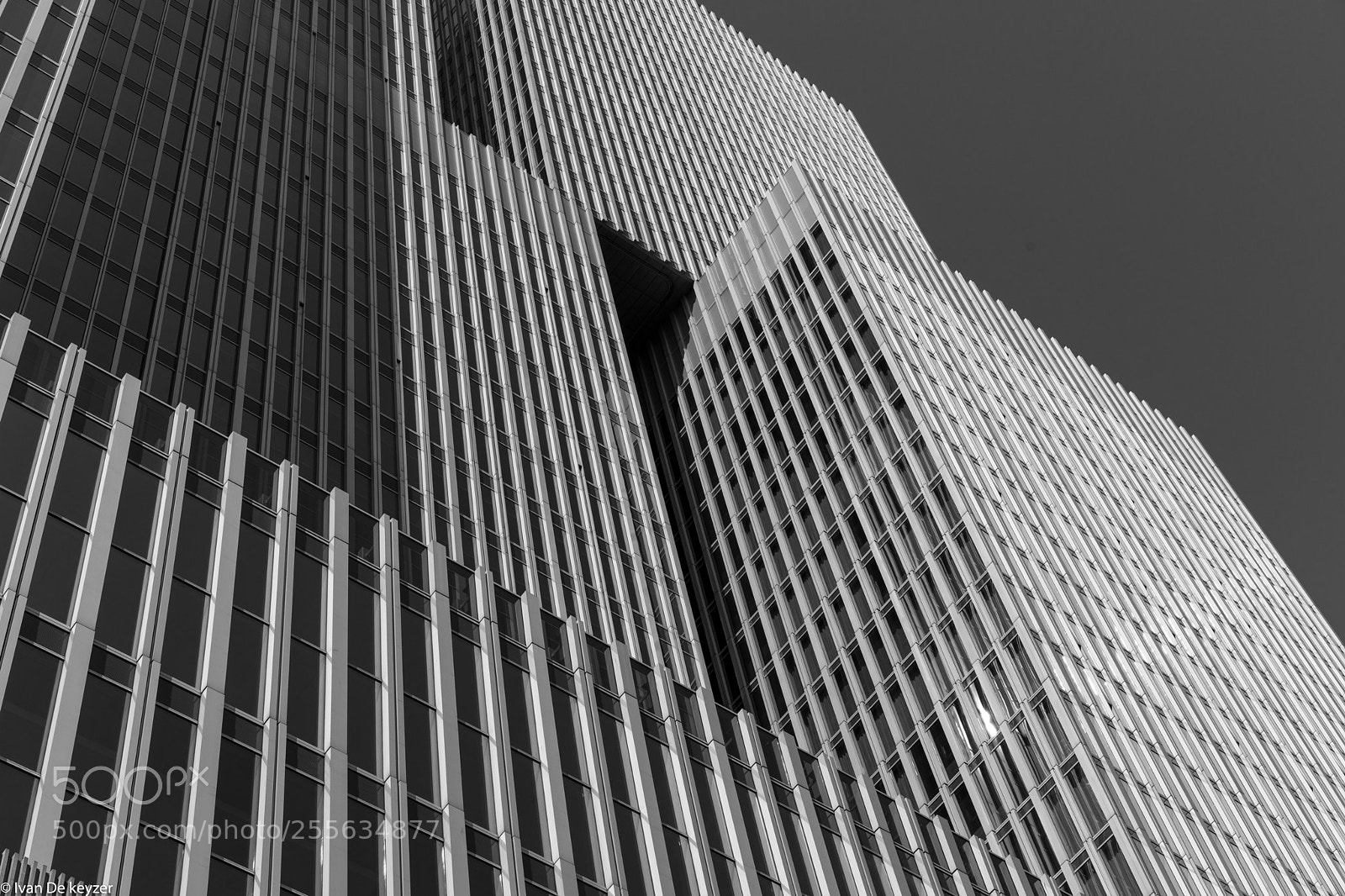Sony a7 II sample photo. Rotterdam photography