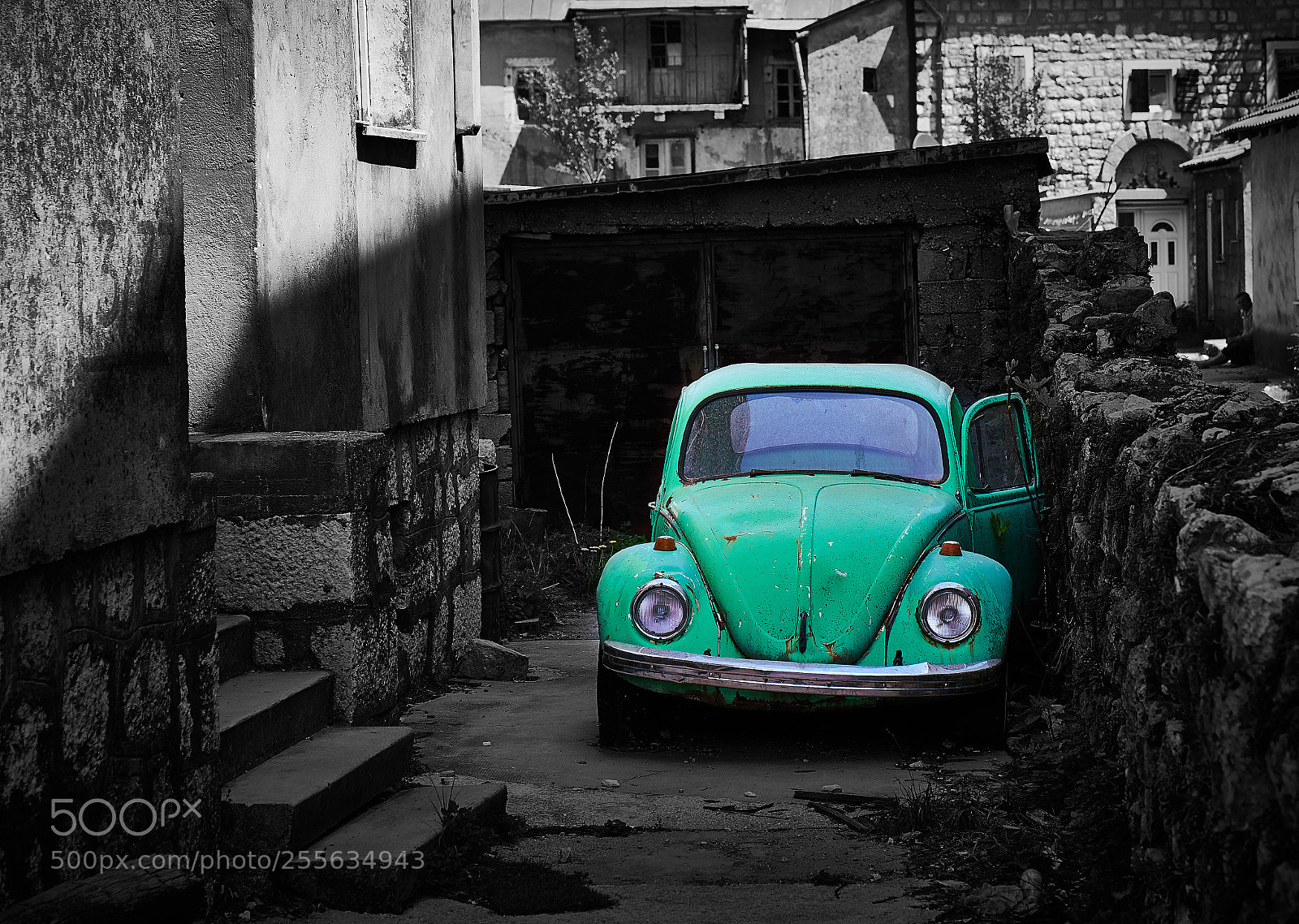 Canon EOS 5D Mark IV sample photo. Beatle photography