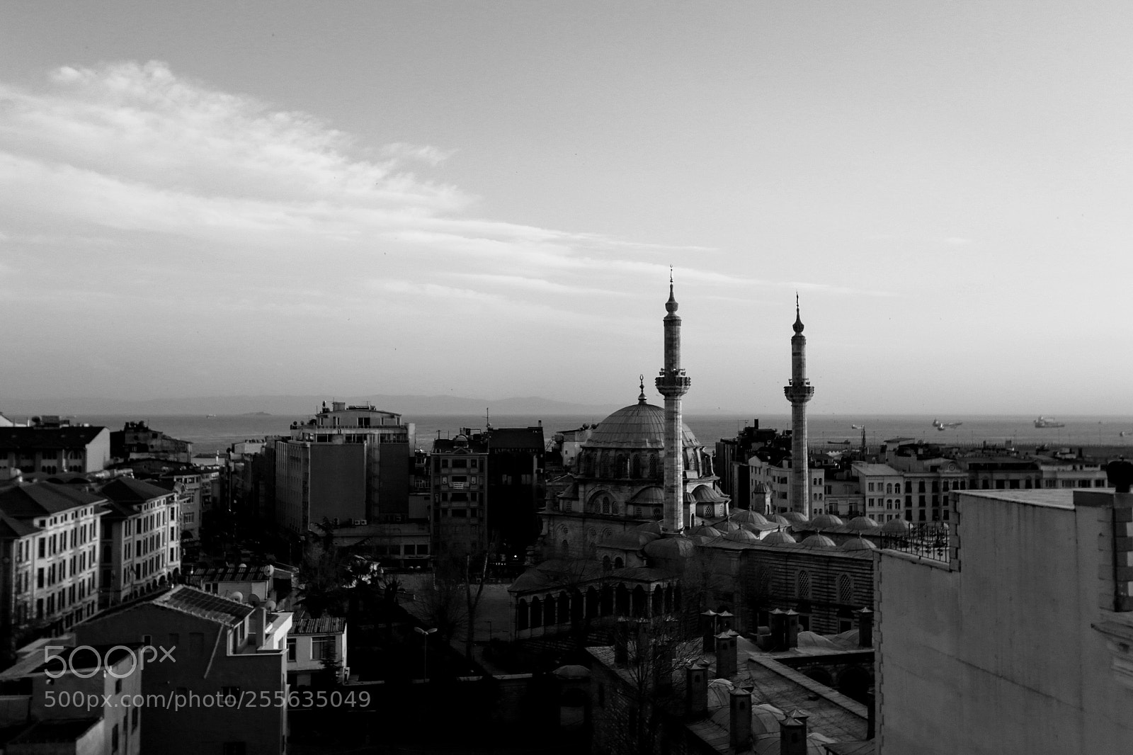 Canon EOS 70D sample photo. Untitled photography