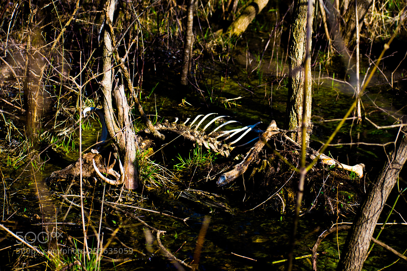 Nikon D3400 sample photo. Dsc photography
