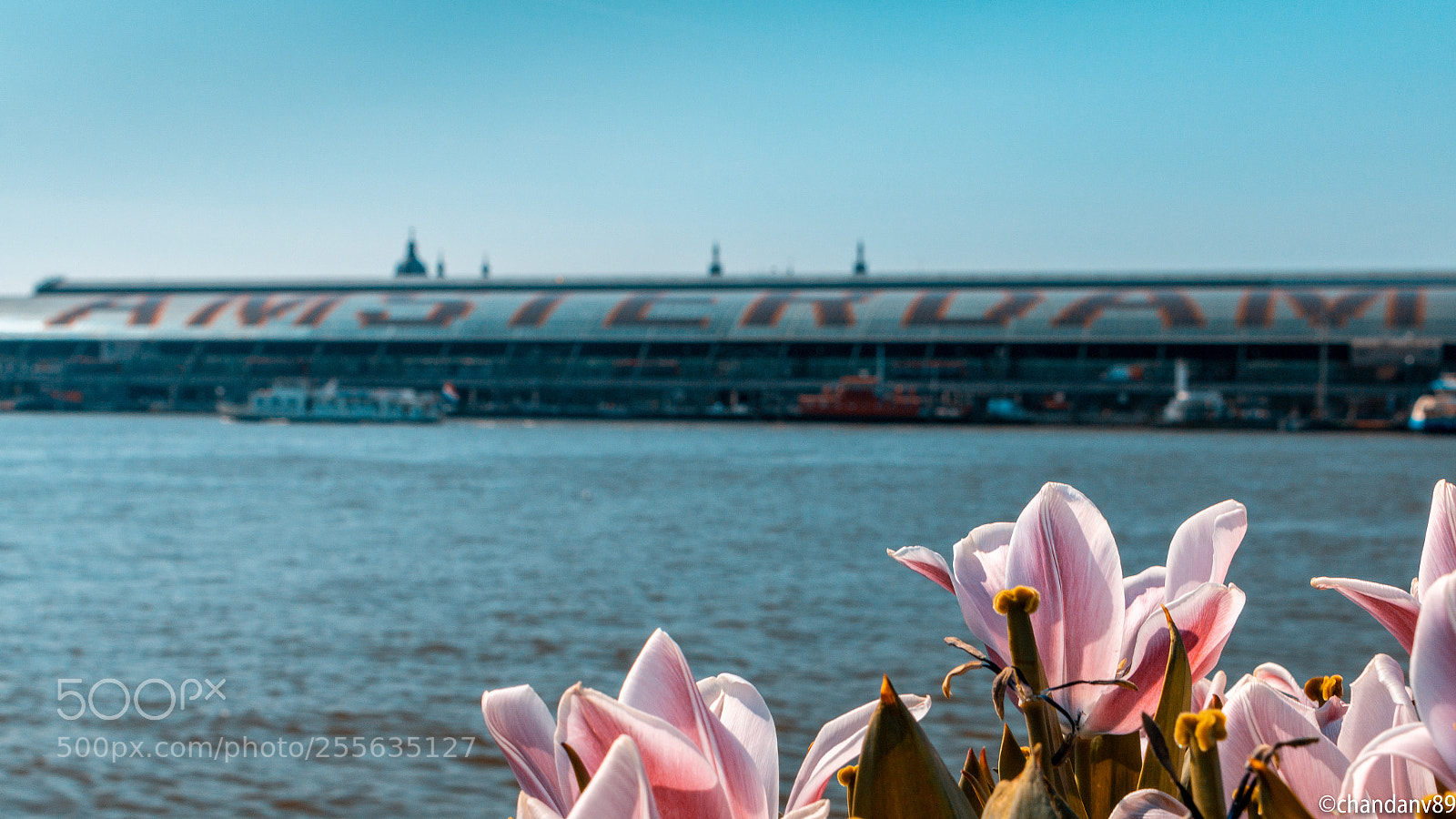 Canon EOS 70D sample photo. Amsterdam photography