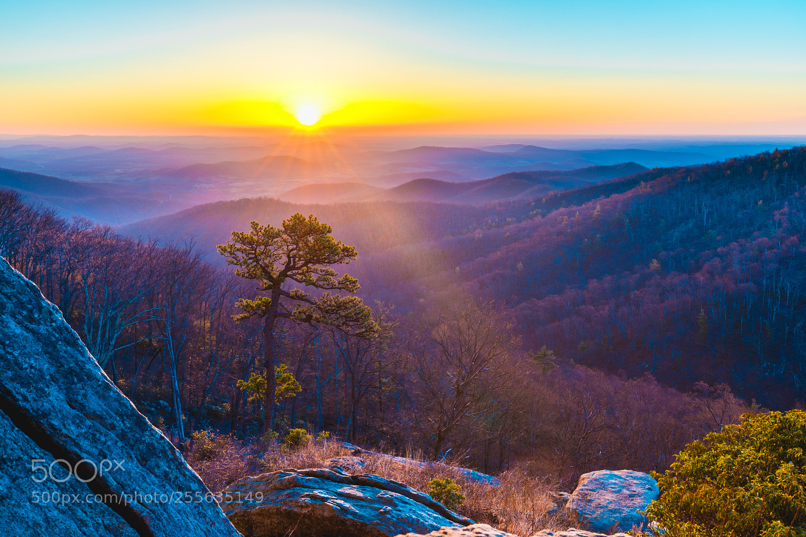 Canon EOS 5D Mark IV sample photo. Shenandoah at sunrise photography