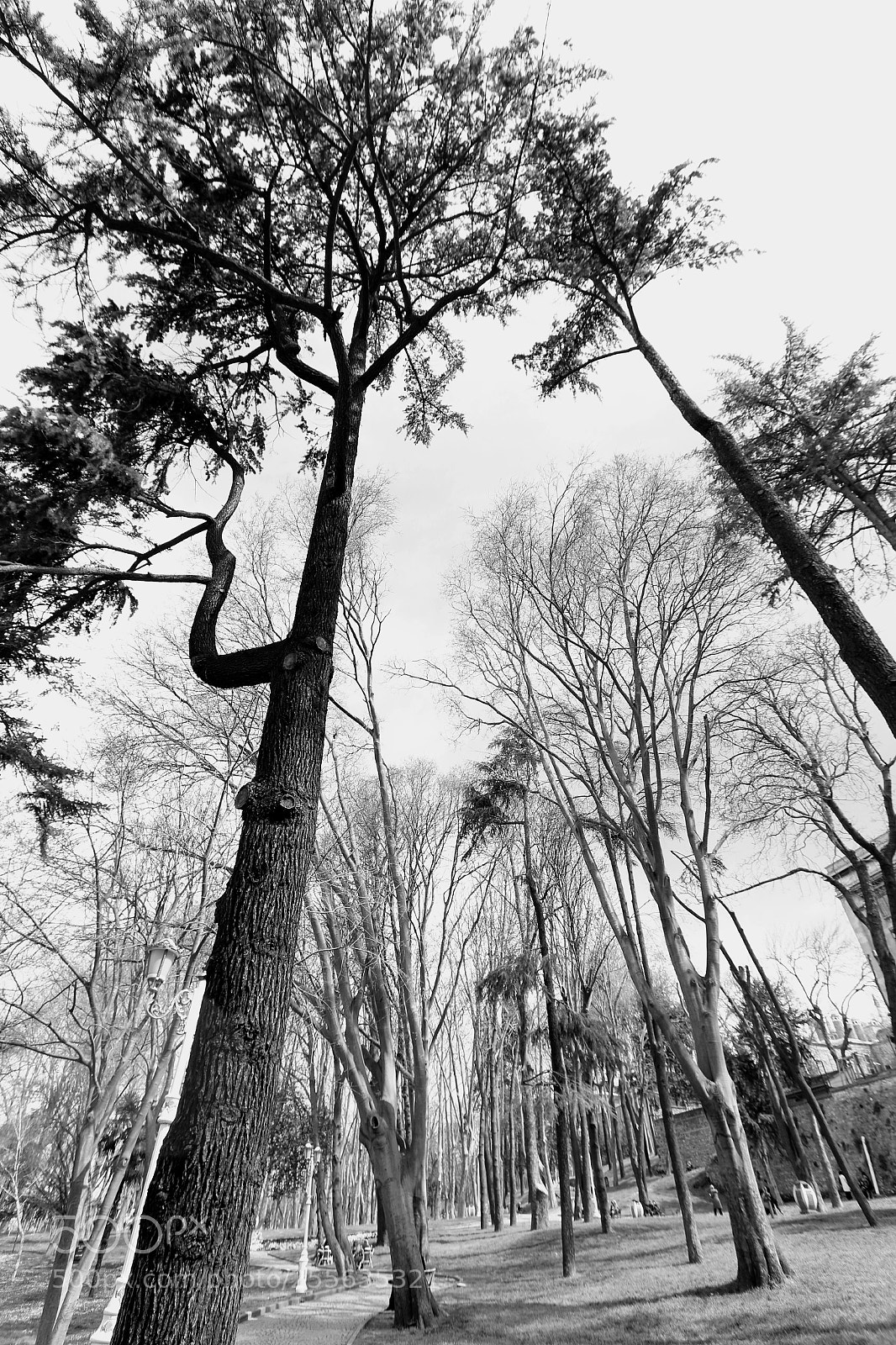 Canon EOS 70D sample photo. Untitled photography