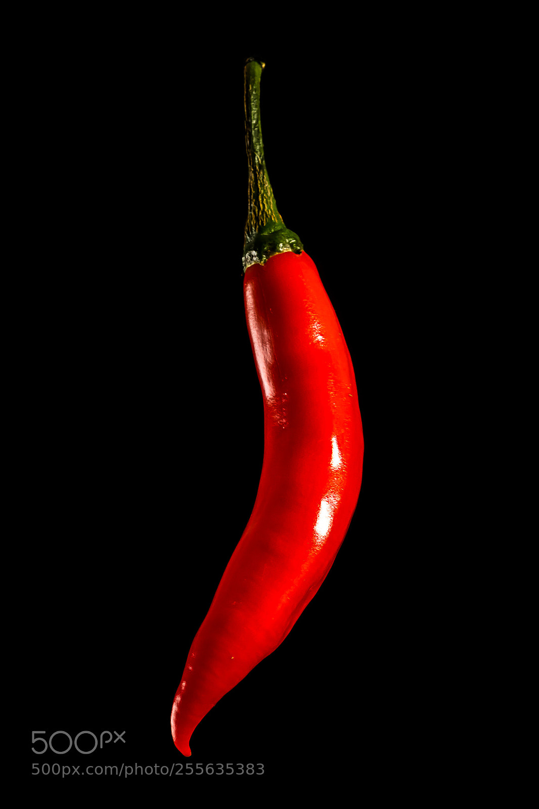 Canon EOS 70D sample photo. Chili photography