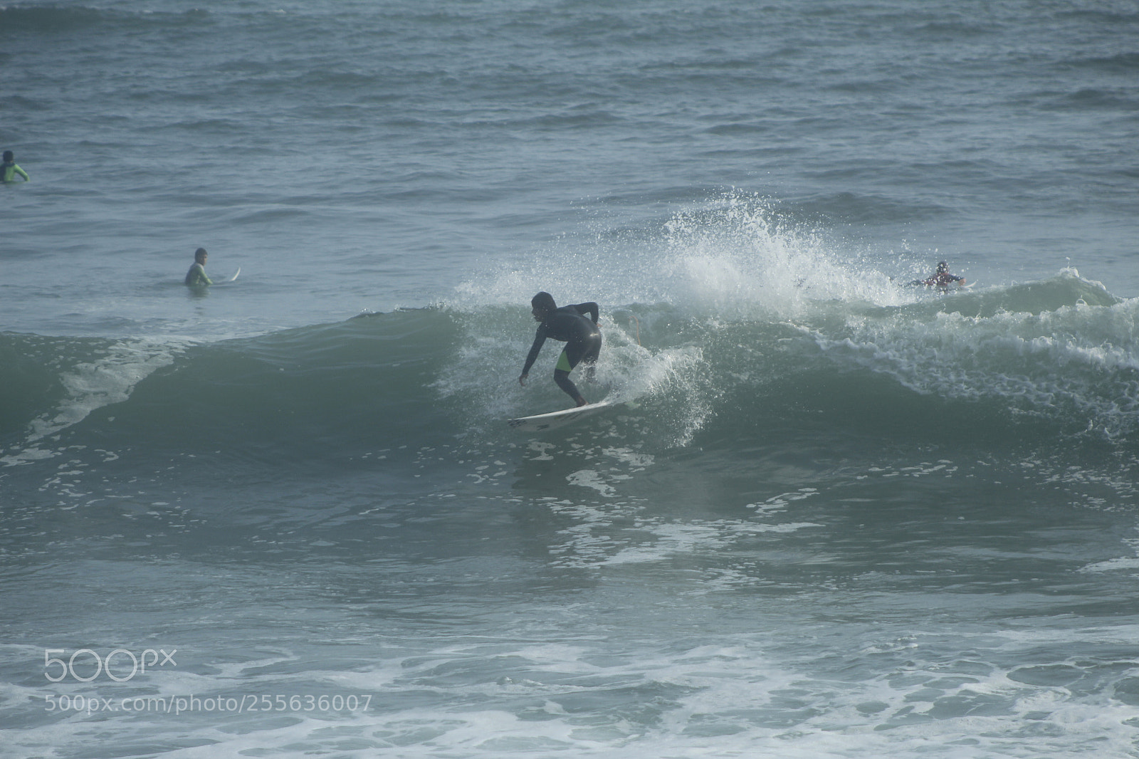 Canon EF 75-300mm f/4-5.6 sample photo. Mg photography