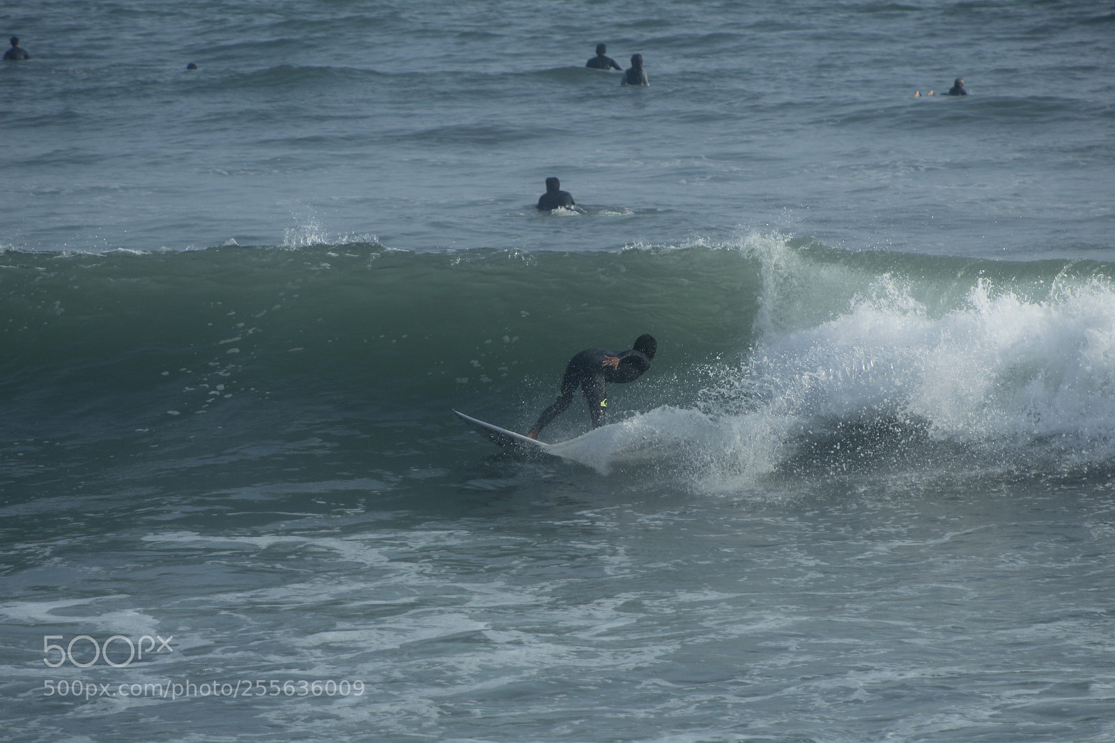 Canon EF 75-300mm f/4-5.6 sample photo. Mg photography
