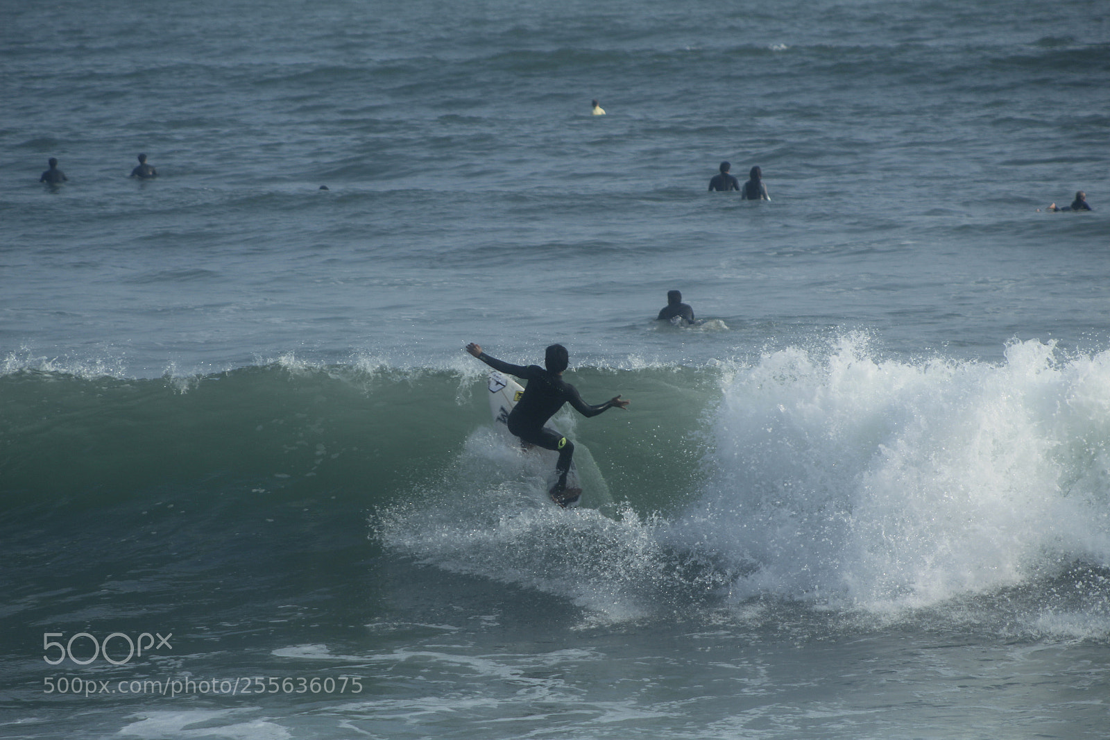 Canon EF 75-300mm f/4-5.6 sample photo. Mg photography