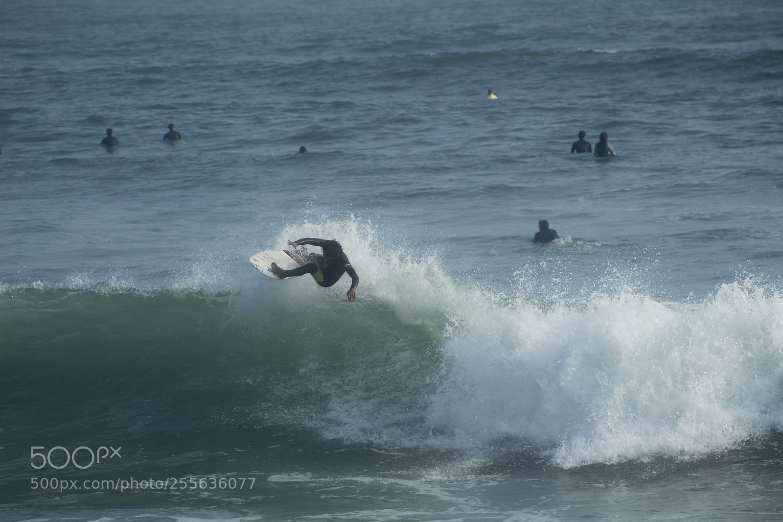 Canon EF 75-300mm f/4-5.6 sample photo. Mg photography