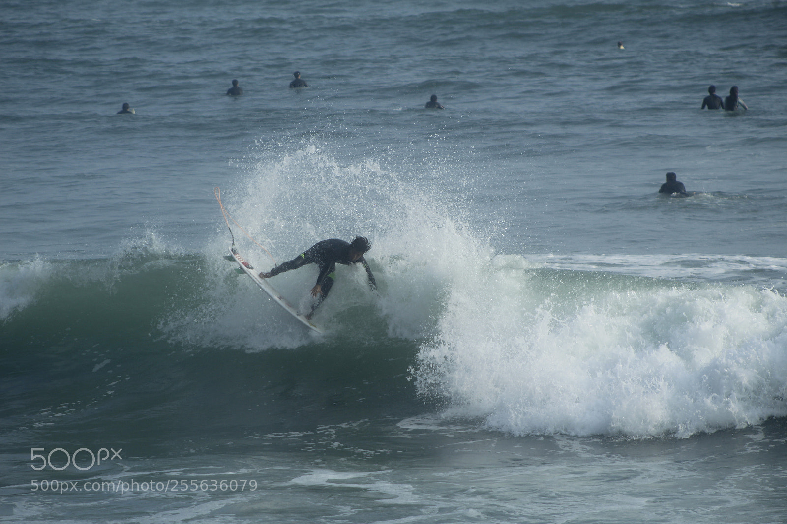 Canon EF 75-300mm f/4-5.6 sample photo. Mg photography