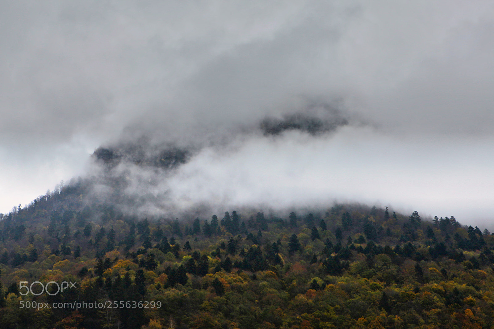 Canon EOS 5D Mark II sample photo. Parc national des Écrins photography