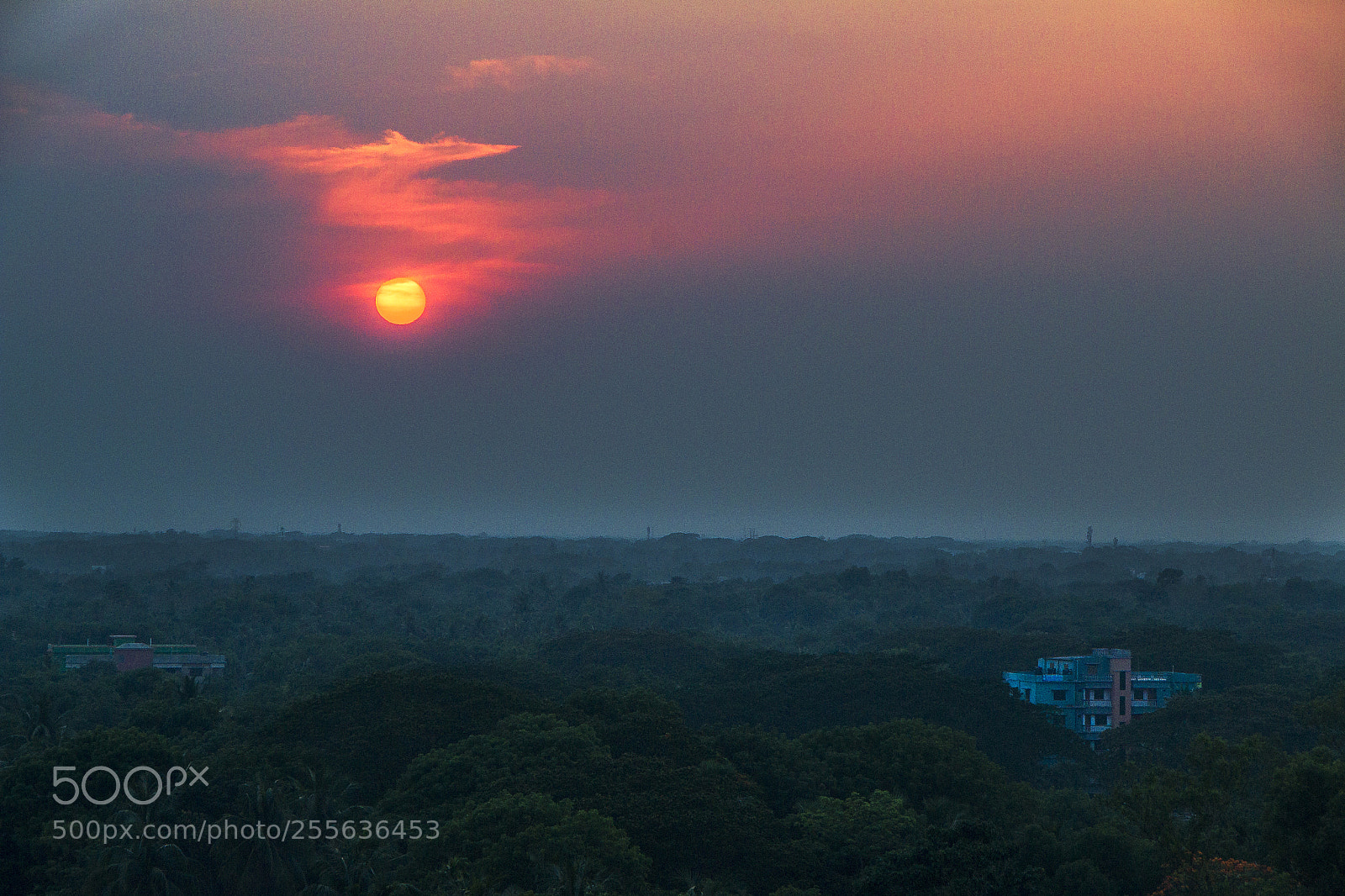 Canon EOS 70D sample photo. The sun is hiding photography