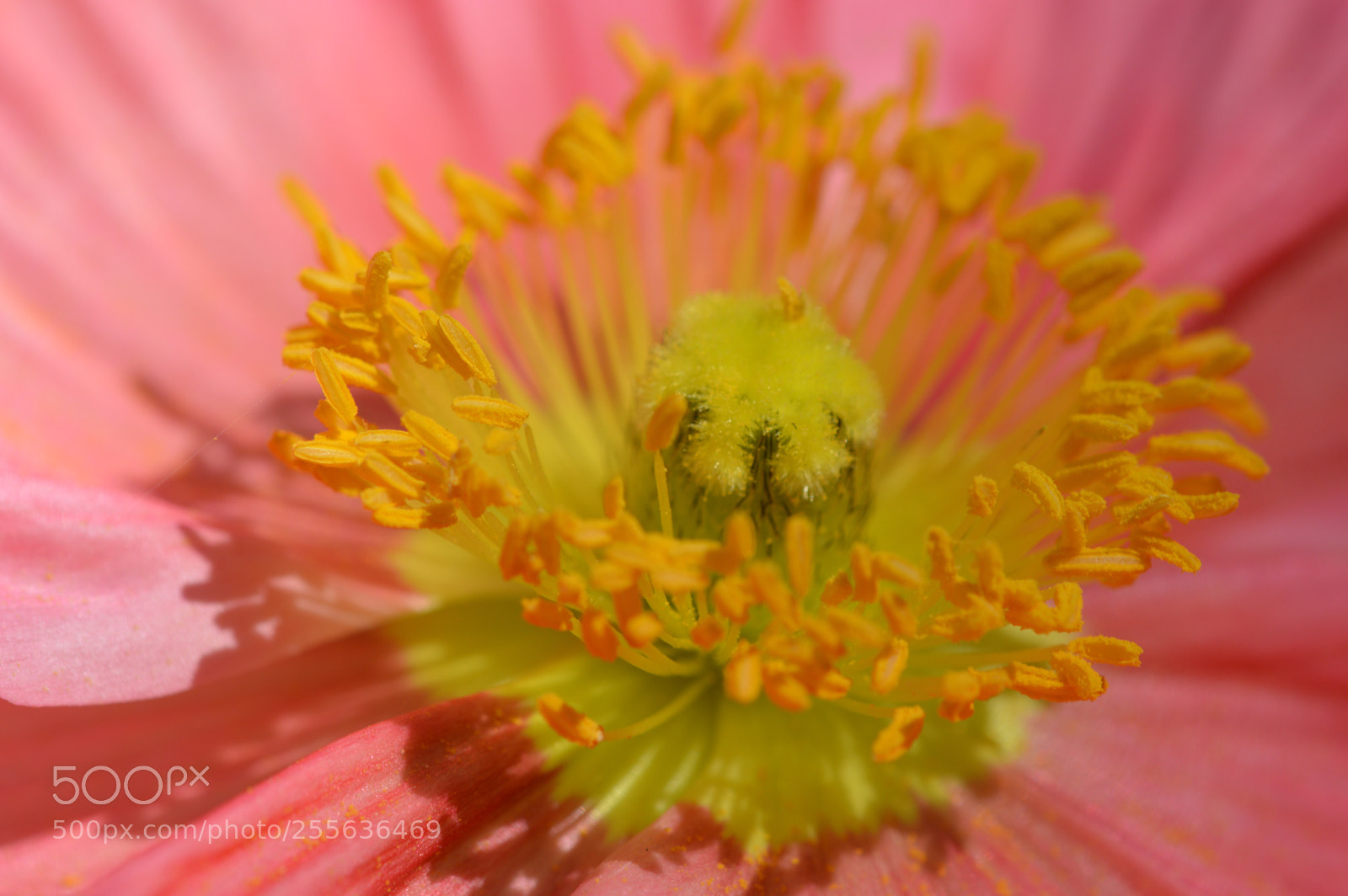 Nikon D3200 sample photo. Happy weekend  photography