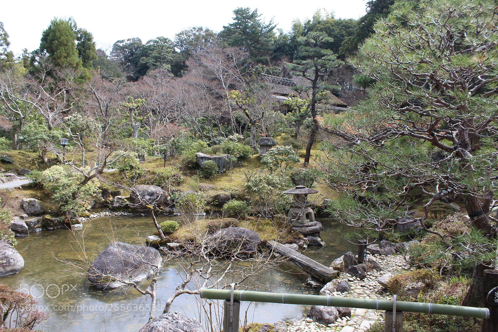 Canon EOS 1200D (EOS Rebel T5 / EOS Kiss X70 / EOS Hi) sample photo. Garden in winter photography