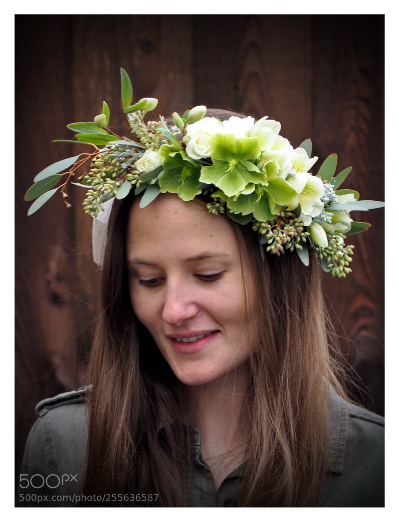 Olympus OM-D E-M5 II sample photo. Photography by steve tobus photography