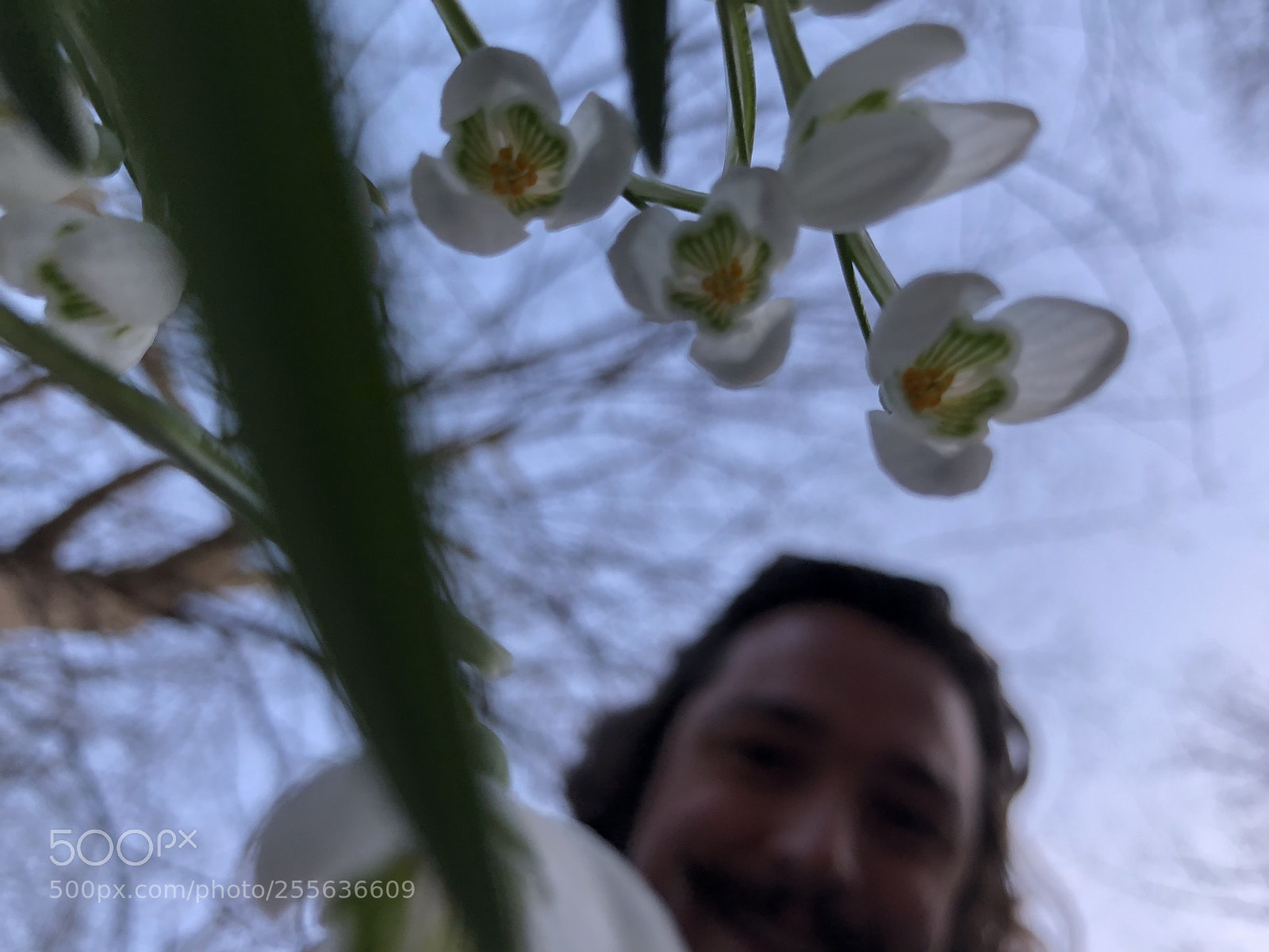 Apple iPhone X sample photo. Untitled photography