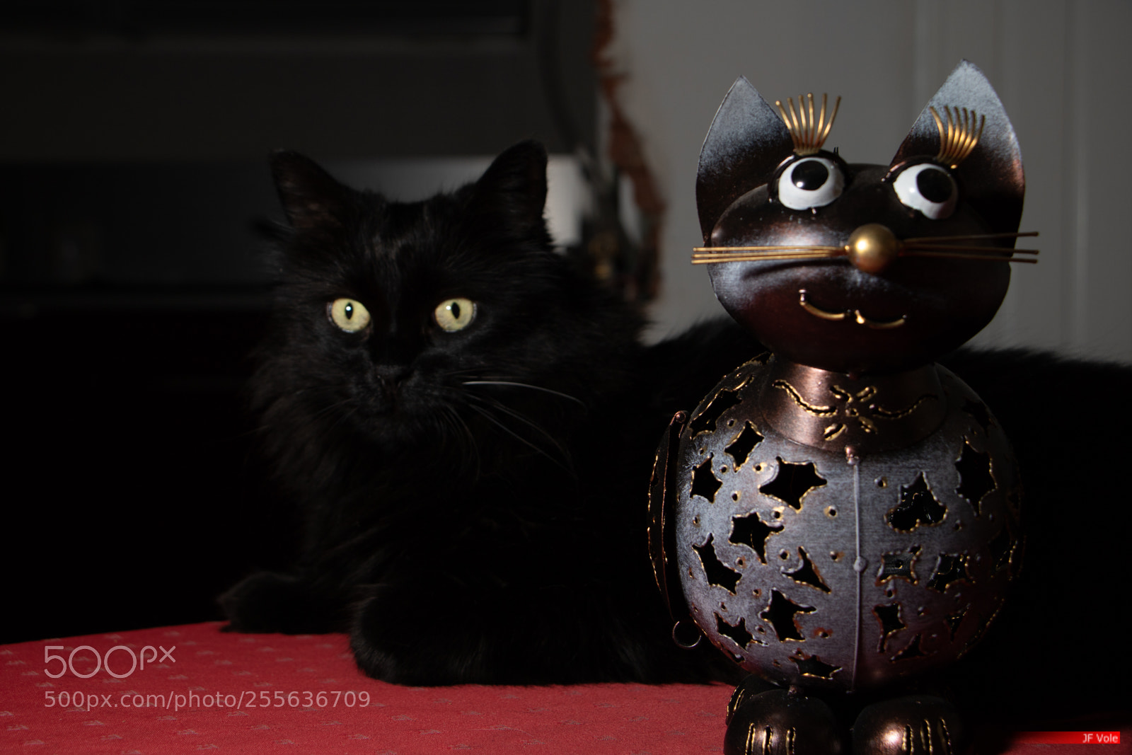 Canon EOS 760D (EOS Rebel T6s / EOS 8000D) sample photo. Gribouille 101 photography