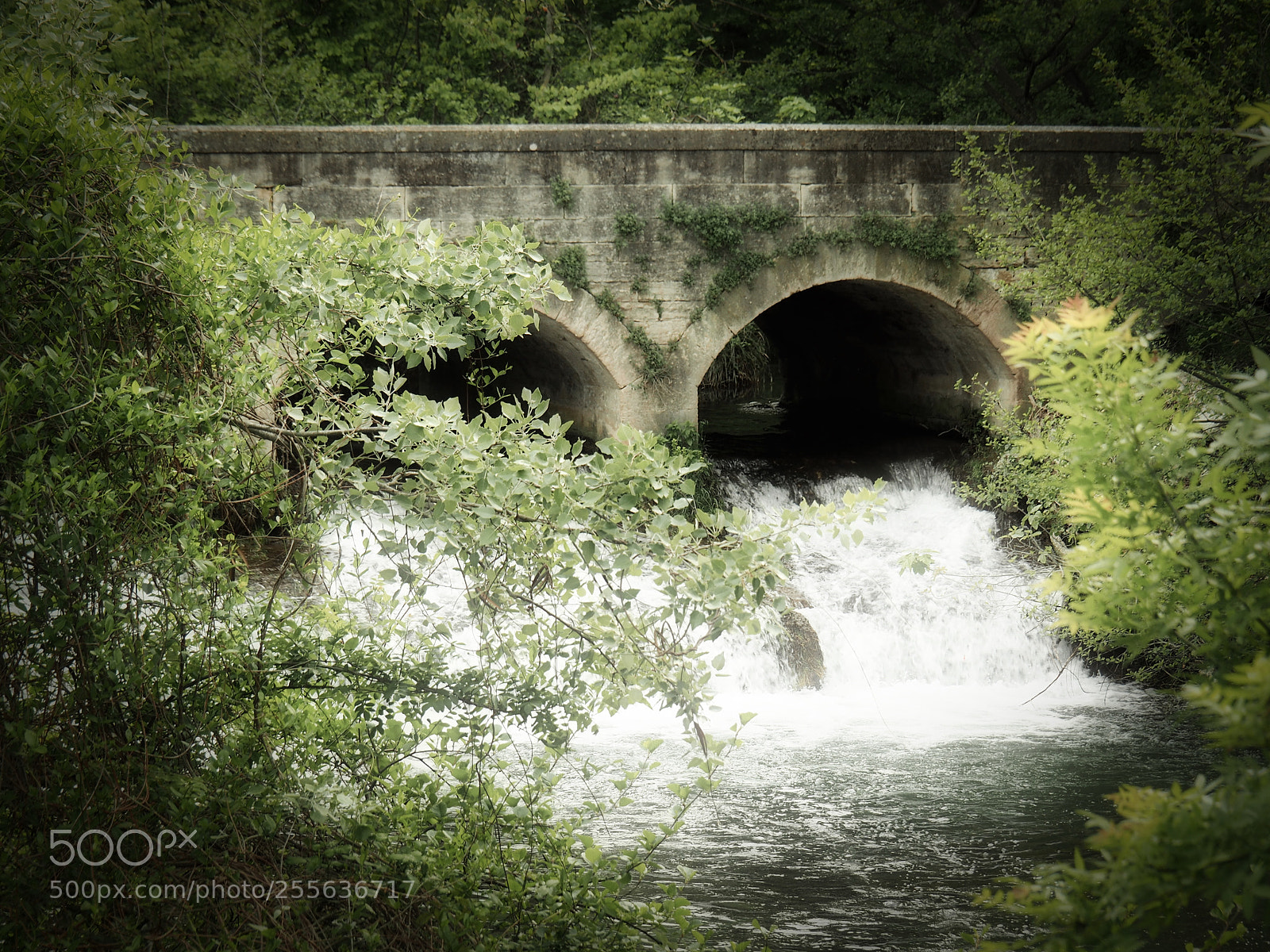 Olympus OM-D E-M5 II sample photo. Pont de l'avocat photography
