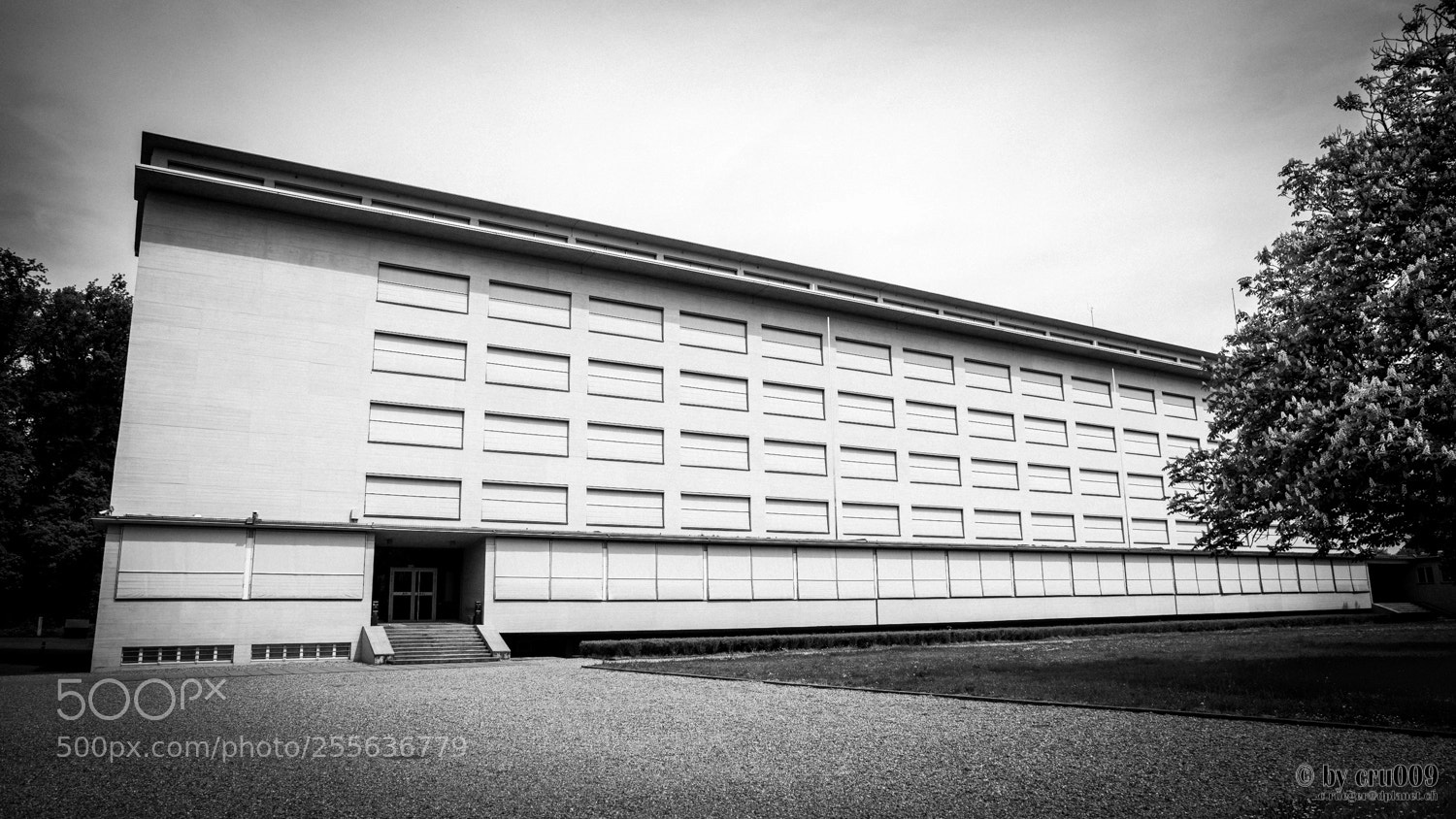 Nikon D610 sample photo. Luzern - meilibau allmend photography