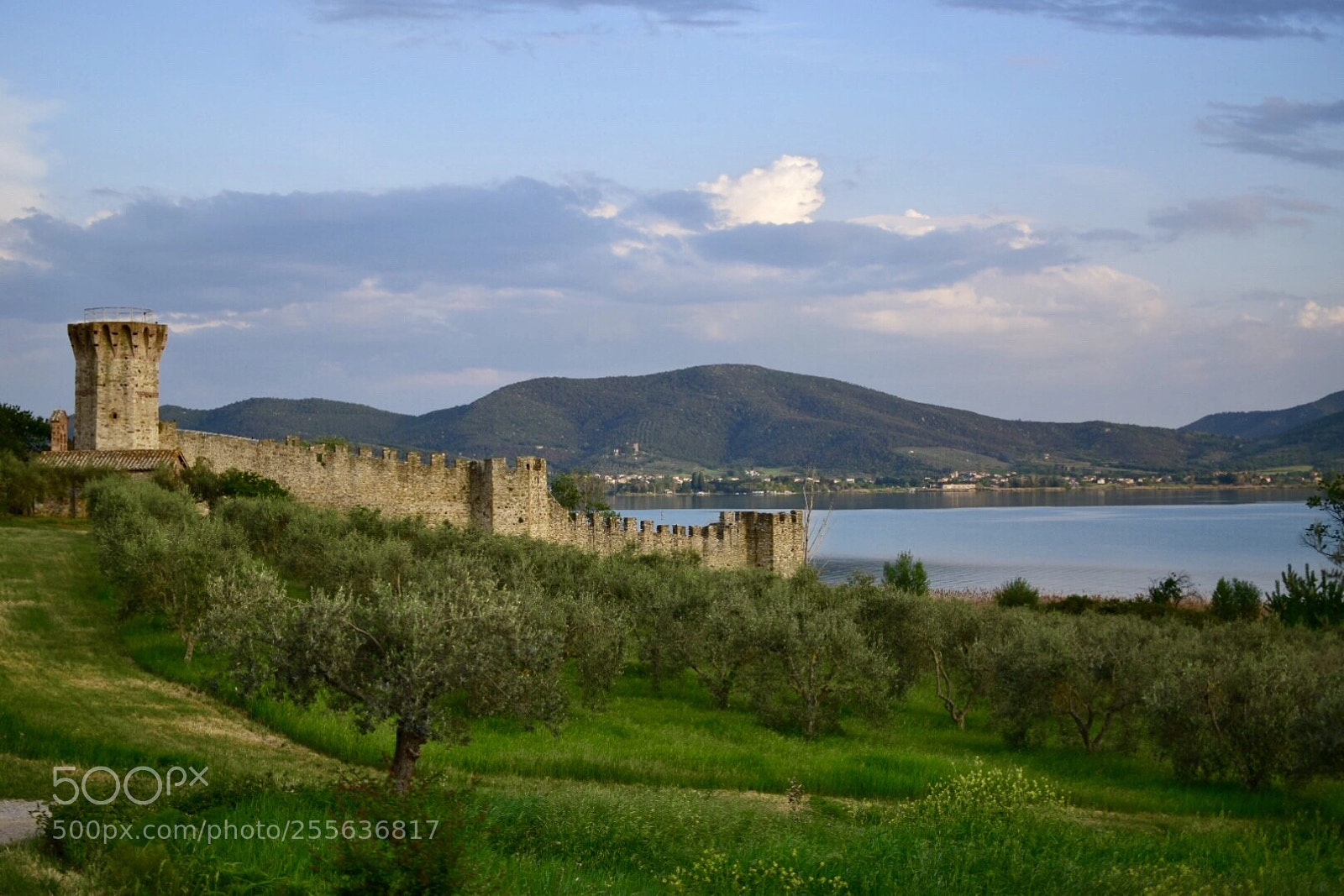 Nikon D5300 sample photo. Isola polvese photography