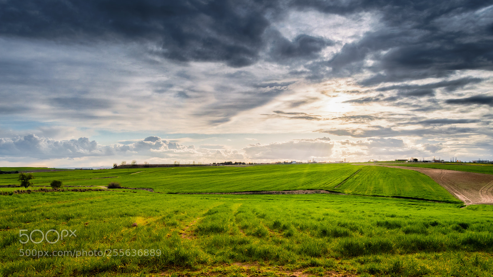 Nikon D3200 sample photo. Sunset photography
