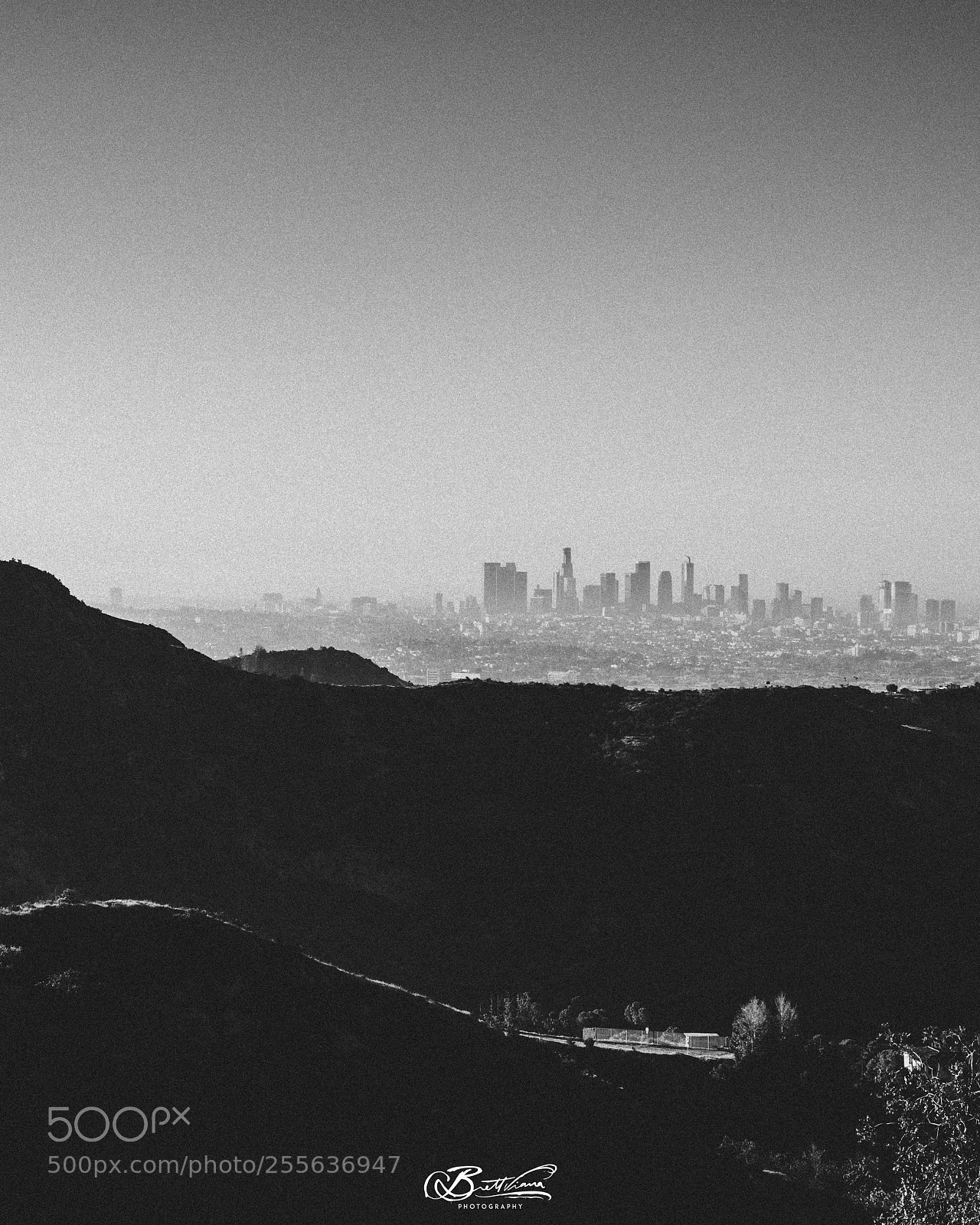 Nikon D500 sample photo. L.a photography