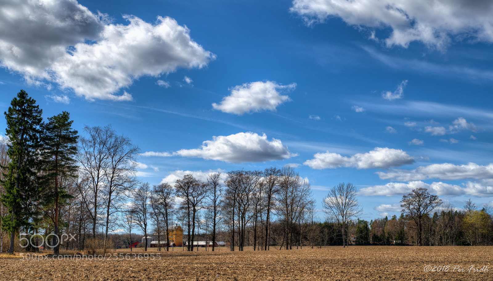 Nikon D850 sample photo. Farm photography
