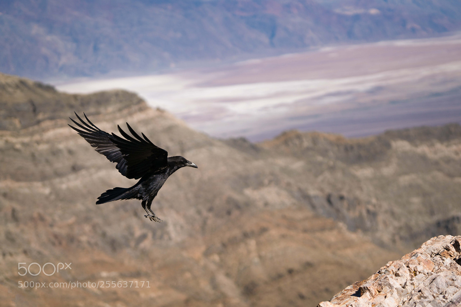 Sony a7R II sample photo. Landing photography