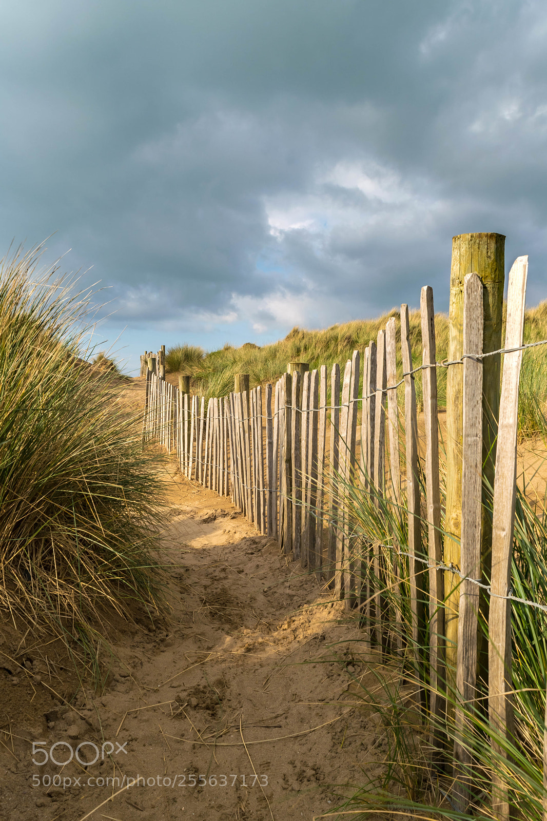 Nikon D3300 sample photo. Sand dune photography