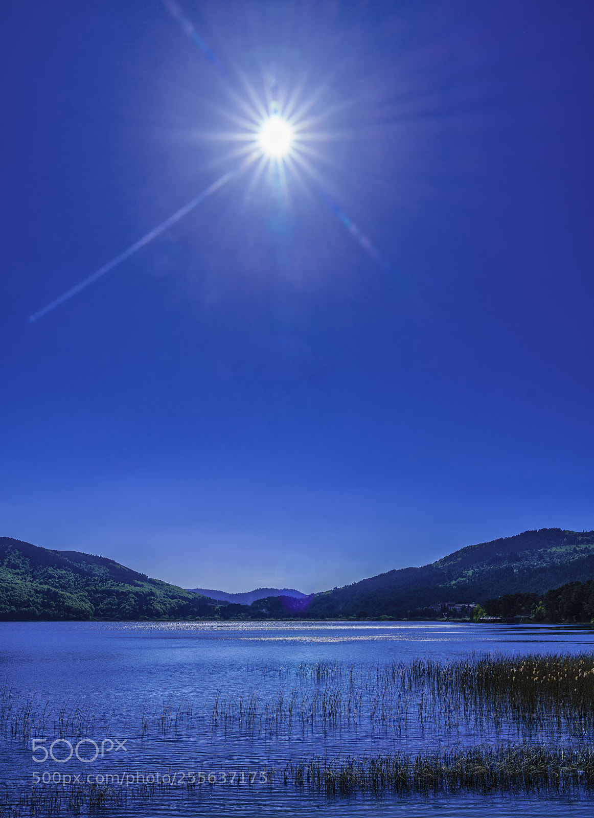 Sony a7R II sample photo. Beautiful blue ... photography
