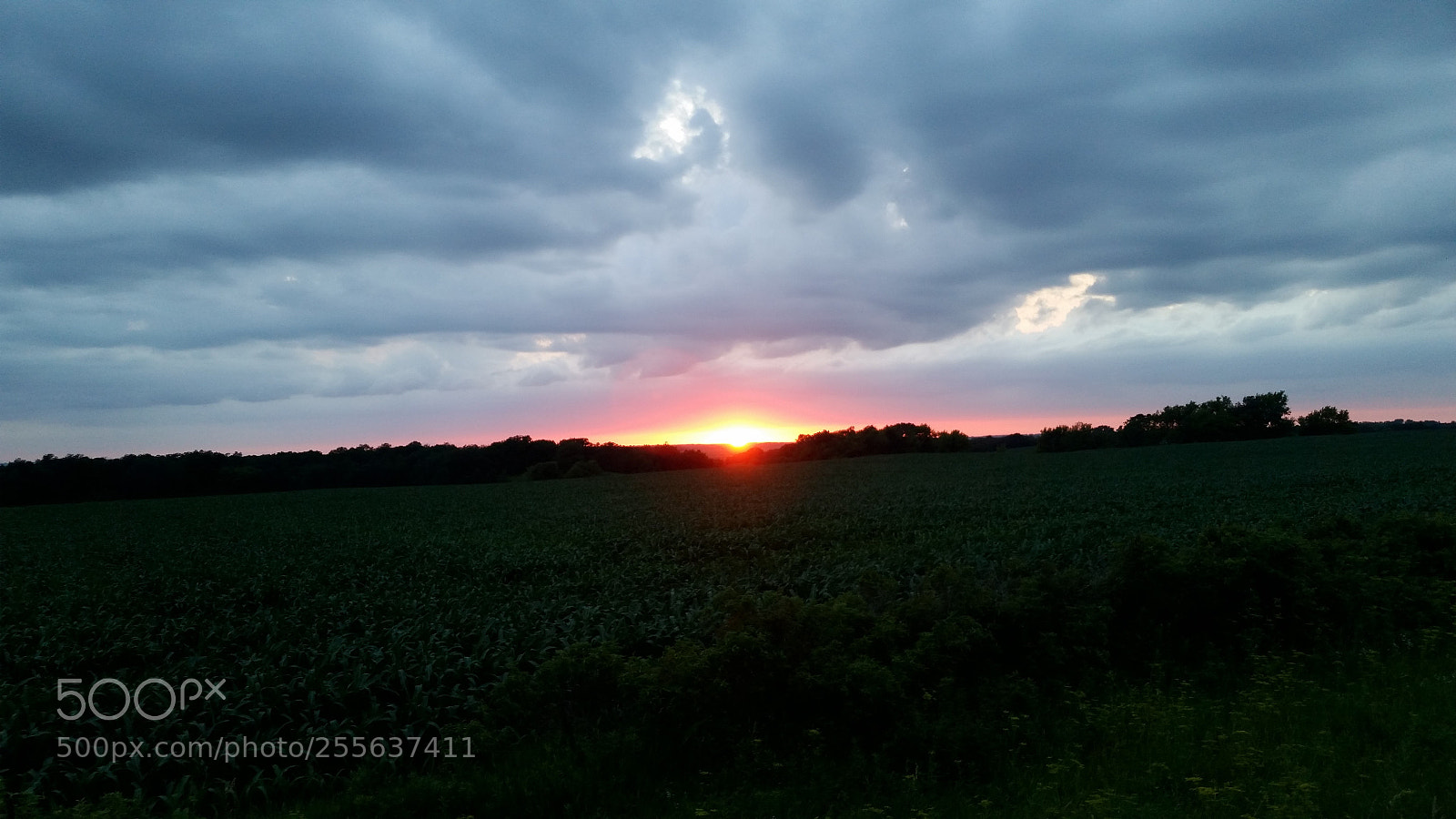 Samsung Galaxy S5 sample photo. 20160625_205519.jpg photography