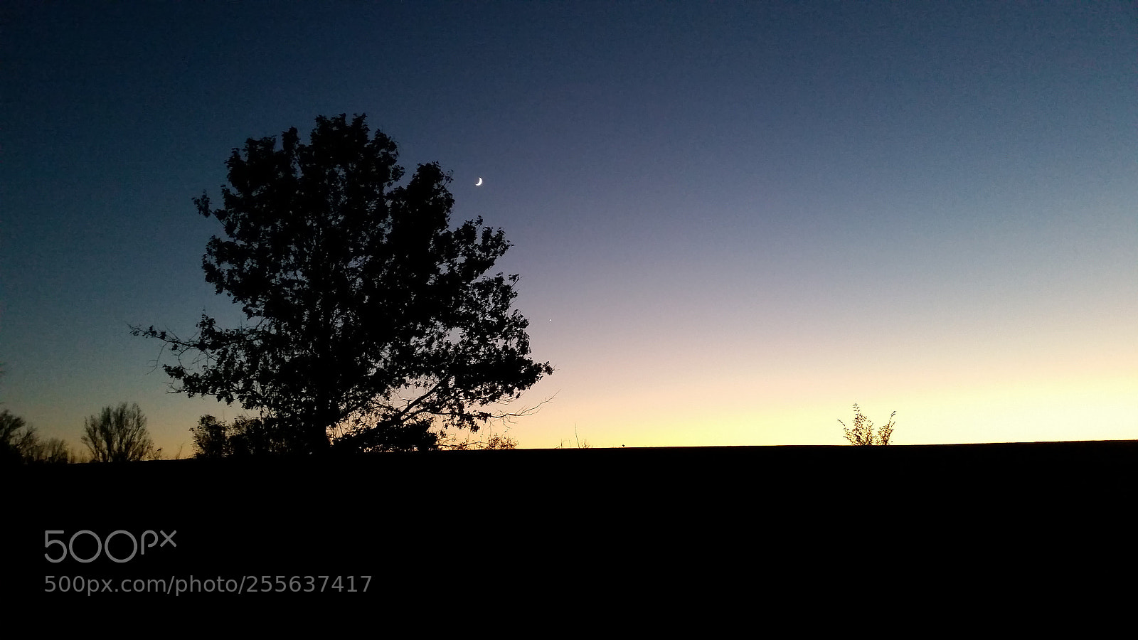 Samsung Galaxy S5 sample photo. 20161103_183005.jpg photography