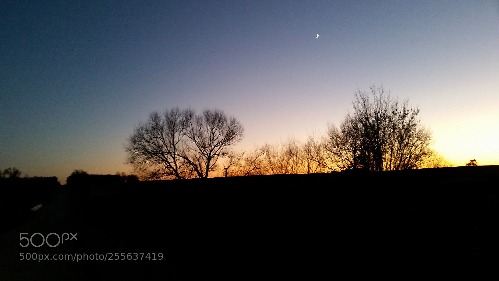 Samsung Galaxy S5 sample photo. 20161103_182639.jpg photography