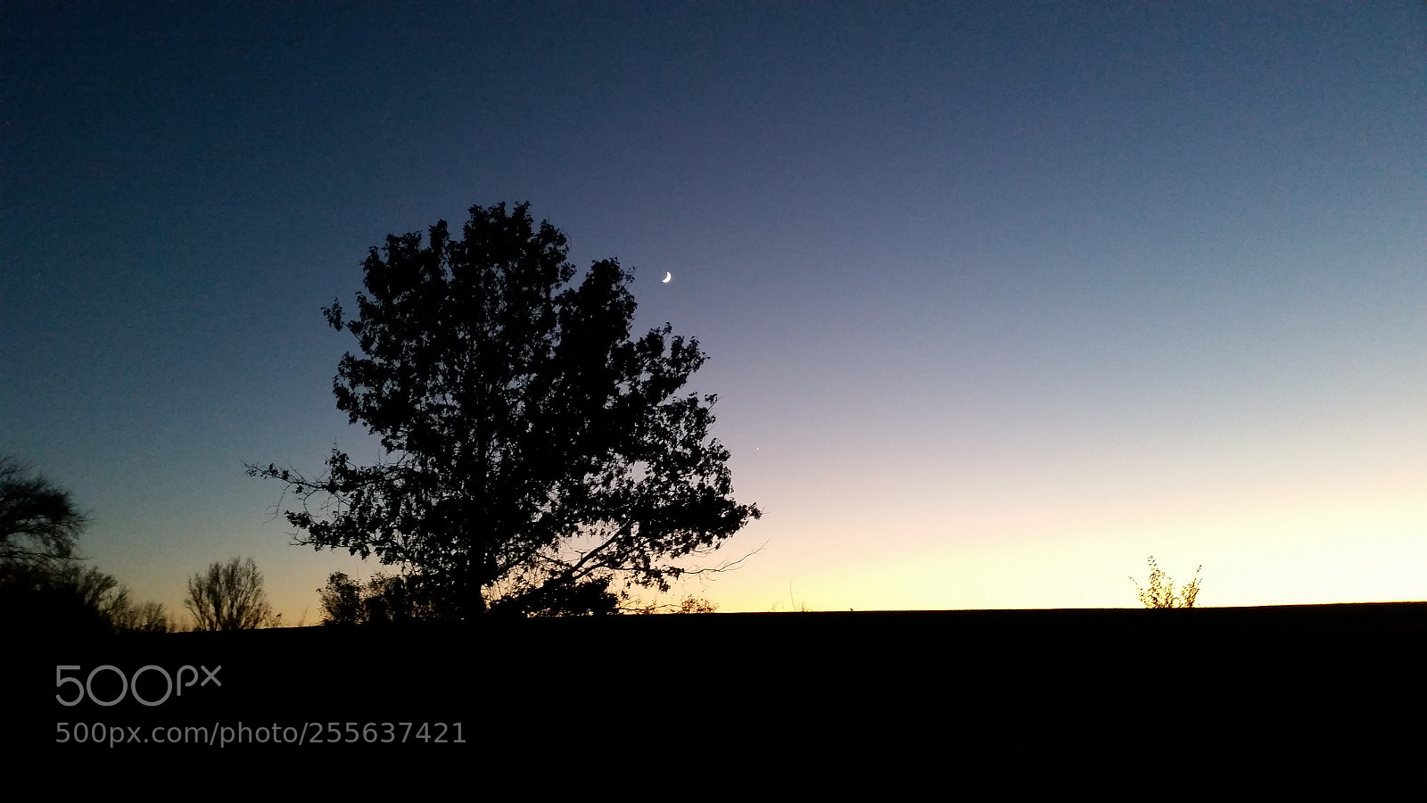 Samsung Galaxy S5 sample photo. 20161103_182956.jpg photography
