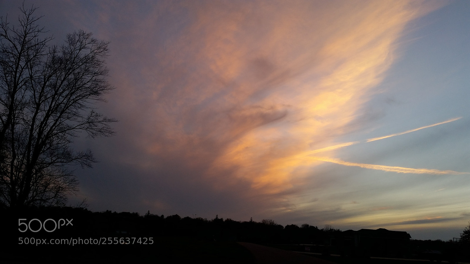 Samsung Galaxy S5 sample photo. 20161019_182513.jpg photography