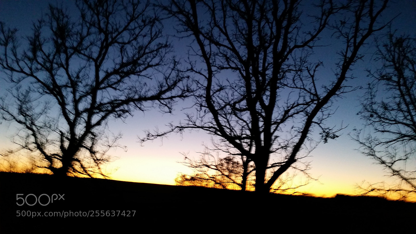 Samsung Galaxy S5 sample photo. 20161103_183312.jpg photography