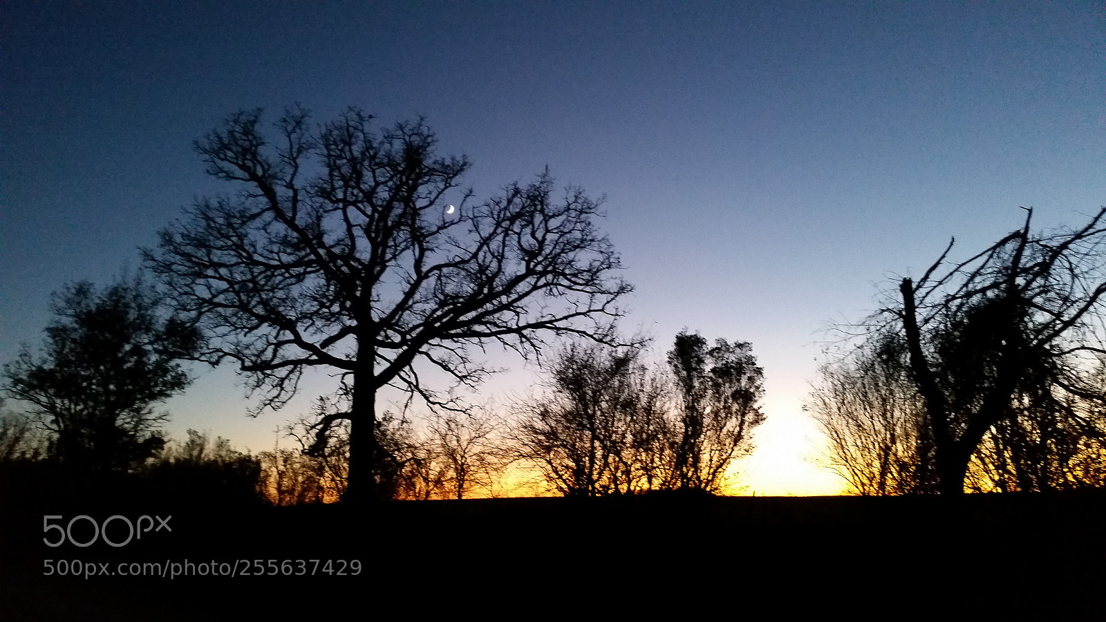 Samsung Galaxy S5 sample photo. 20161103_183150.jpg photography