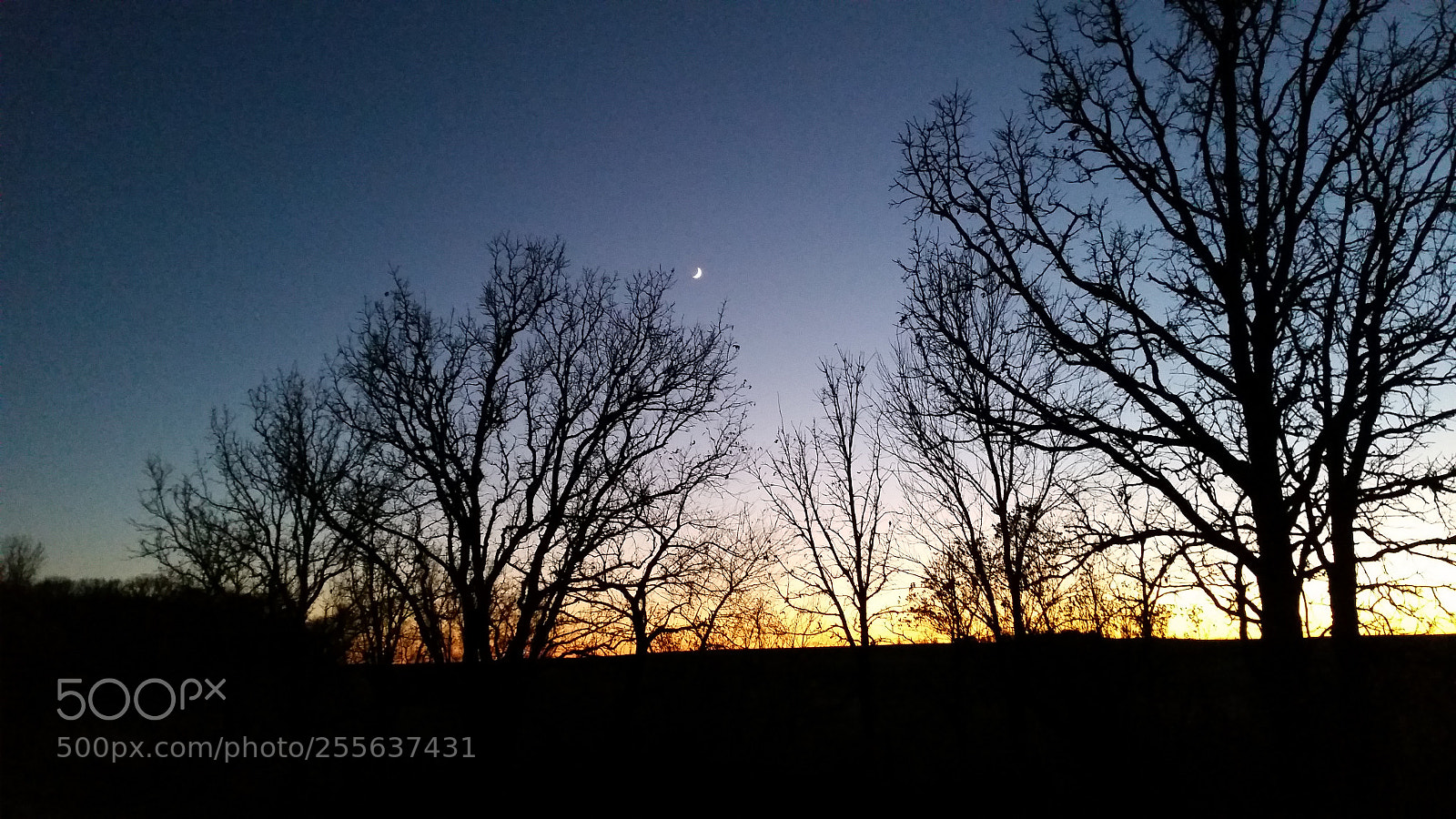 Samsung Galaxy S5 sample photo. 20161103_183239.jpg photography