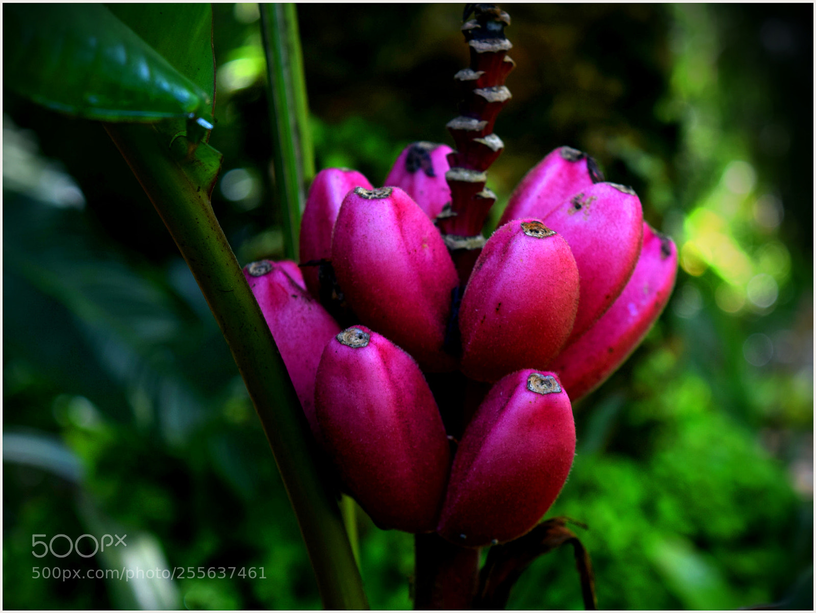 Nikon D5300 sample photo. ... photography