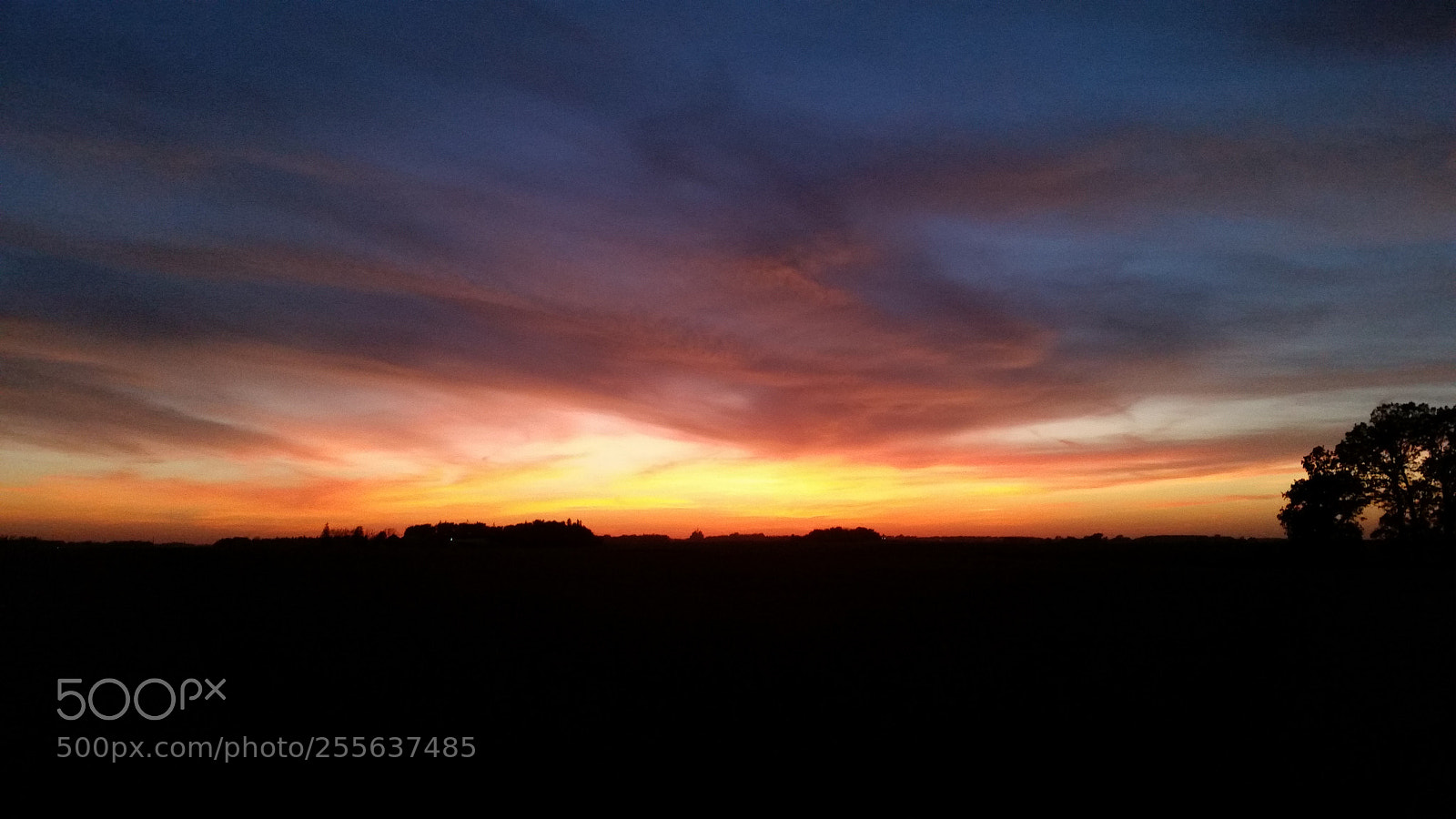Samsung Galaxy S5 sample photo. 20151010_190201.jpg photography
