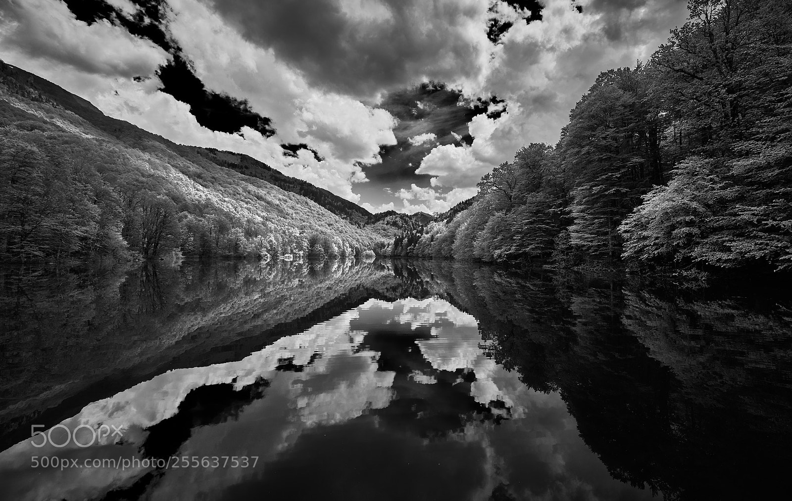 Canon EOS 5D Mark IV sample photo. Mirror lake photography